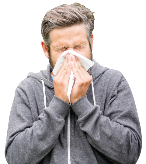 Relief from seasonal allergies product image.